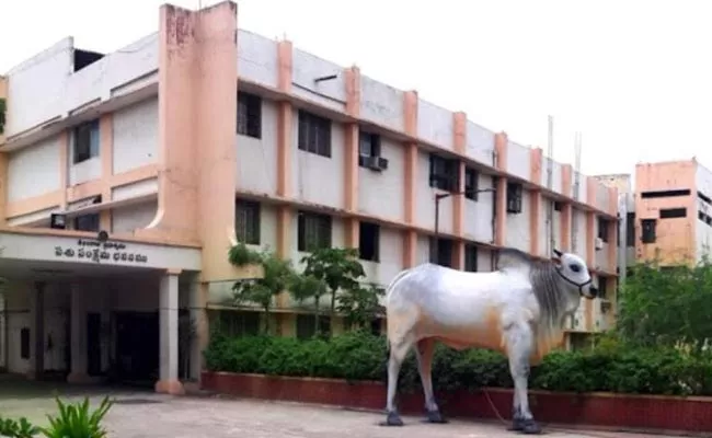 Missing Files In Animal Husbandry Department Of Masab Tank - Sakshi