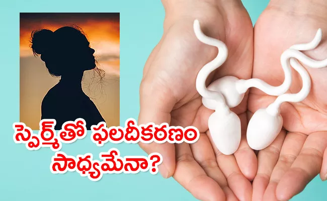 Australian Woman Gets Court Permission To Remove Dead Husbands Sperm - Sakshi