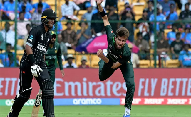 NZ VS PAK 1st T20: New Zealand Set 227 Runs Huge Target To Pakistan - Sakshi