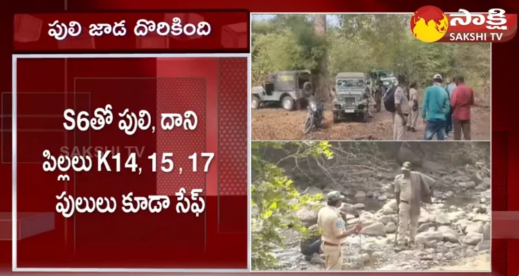 Tiger Operation Success In Komaram Bheem District