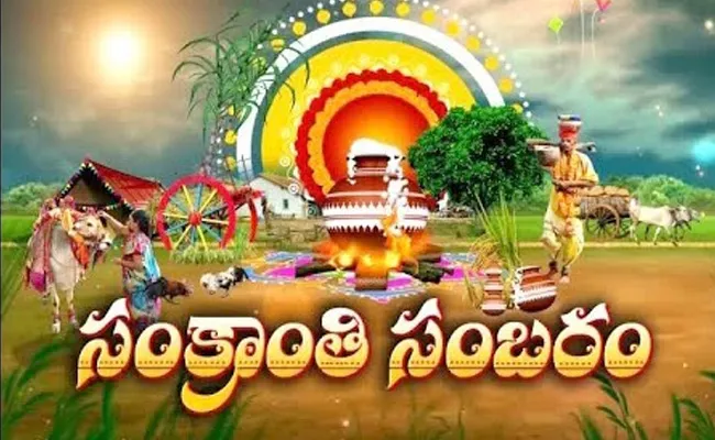 Sankranti Festival Is Full Of Decorations - Sakshi