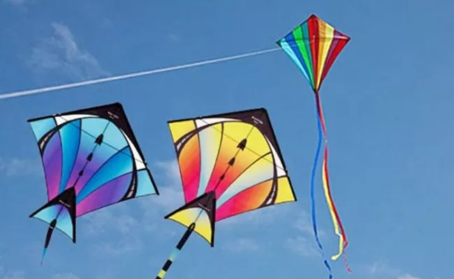 Makar Sankranti 2024 special do you know significance of kites flying - Sakshi