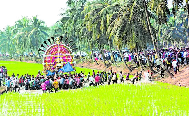 Chicken competition in Godavari districts - Sakshi