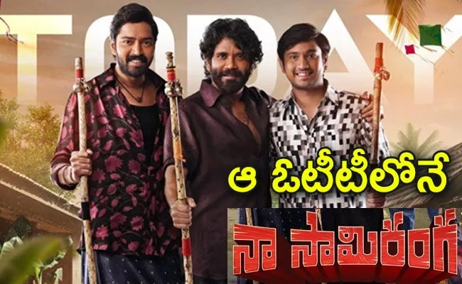 Nagarjuna Naa Saami Ranga Movie OTT Release Details - Sakshi