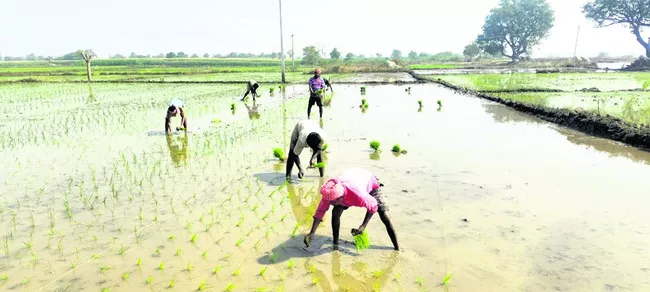 చామన్‌పెల్లి సమీపంలో వరి నాటు వేస్తున్న కూలీలు - Sakshi