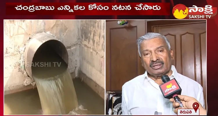 Minister Peddireddy Ramachandra Reddy Comments On Chandrababu