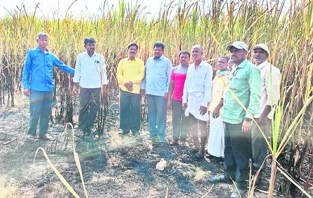 కాలిపోయిన చెరుకుతోటను పరిశీలిస్తున్నసంగం నాయకులు  - Sakshi