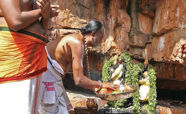 Tirumala: Sri Ramakrishna Theertha Mukkoti on January 25 - Sakshi