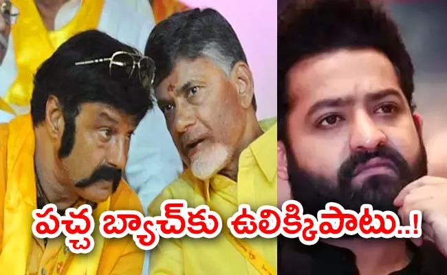 Jr NTR Fans Political Domination To Chandrababu And TDP - Sakshi