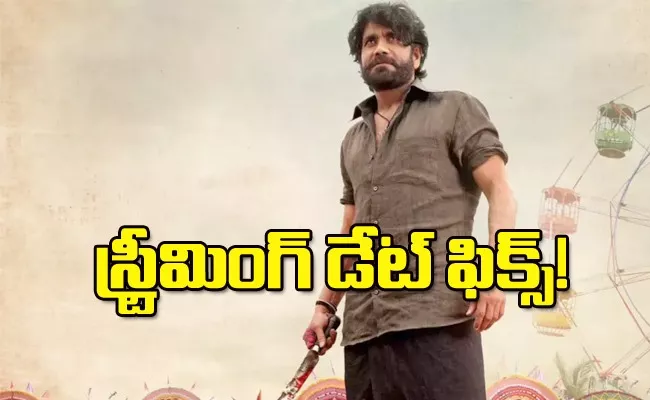 Nagarjuna Naa Saami Ranga Movie Ott Streaming On This Date - Sakshi