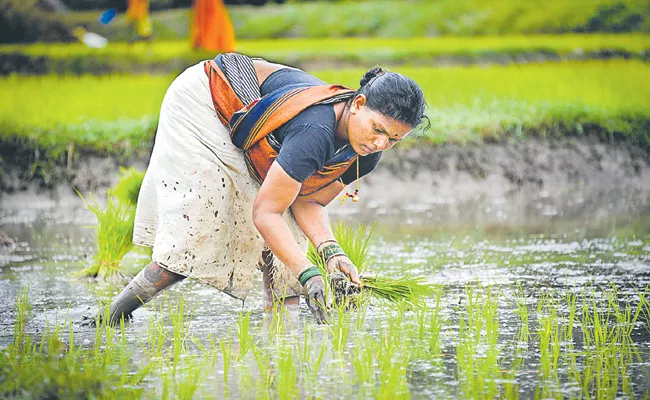 NABARD has finalized loan plan for agriculture - Sakshi