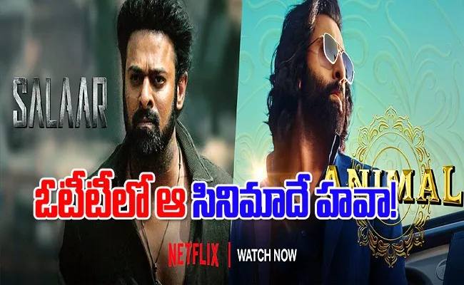 Sandeep Reddy Animal Movie Crossed Salaar Views In Netflix - Sakshi