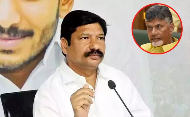 Minister Jogi Ramesh Comments On Chandrababu - Sakshi