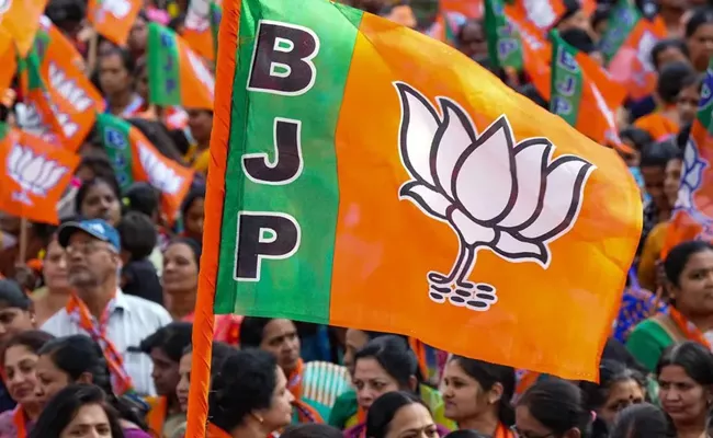 BJP Appoints Political Incharges In Telangana - Sakshi