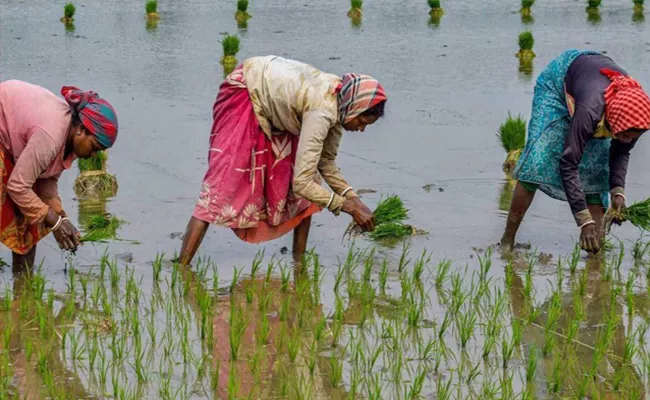 Agriculture Exports Will Increase To Rs 8 Lakh Crs Till 2030 - Sakshi