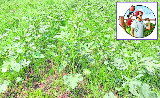 Higher Yields With Organic Methods - Sakshi