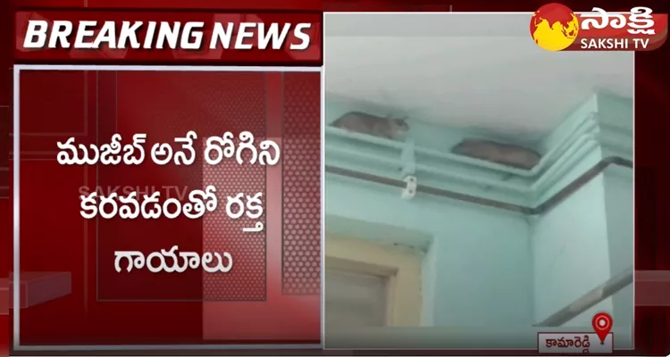 Rats Bite Patients In Kamareddy Govt Hospital