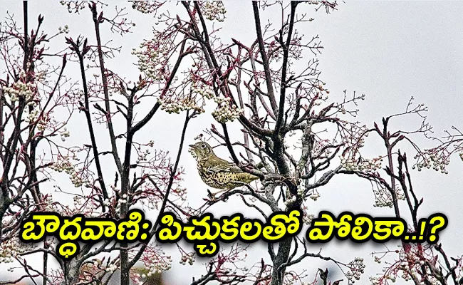 Inspiration Of BouddhaVani Short Story - Sakshi