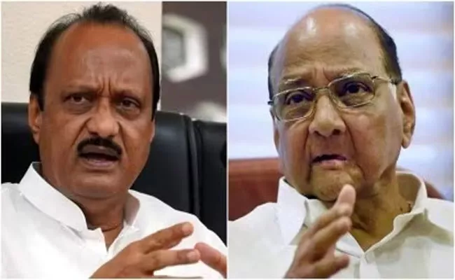 Setback To Sharad Pawar, Ajit Pawar Faction Real NCP Says Maharashtra Speaker - Sakshi