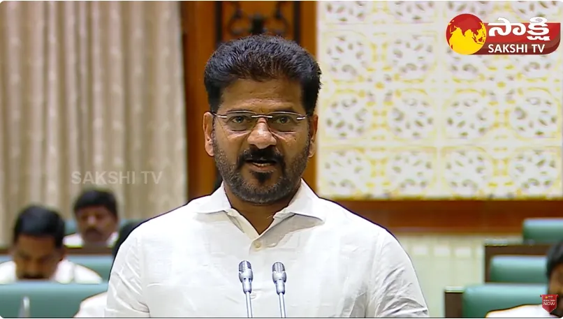 CM Revanth Reddy Given Clarity On Caste Census In Assembly