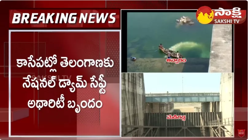 National Dam Safety Authority Officials To Visit Annaram Barrage In Telangana