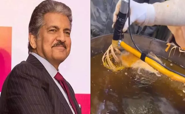 Anand Mahindra Tweet About Jalebi Video - Sakshi