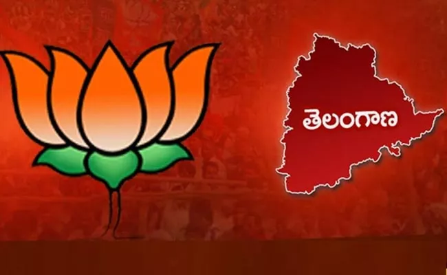 BJP High Command Focus On Telangana Lok Sabha Candidates - Sakshi