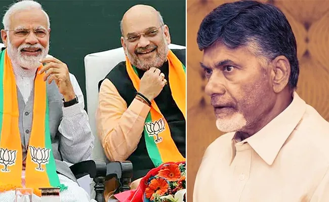 TDP Chandrababu False Political Comments Over BJP In Past - Sakshi