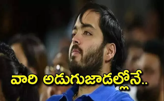 Anant Ambani Says About Animals - Sakshi