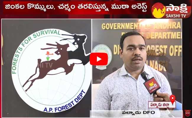 Palnadu DFO Ramachandra Rao Face to Face 