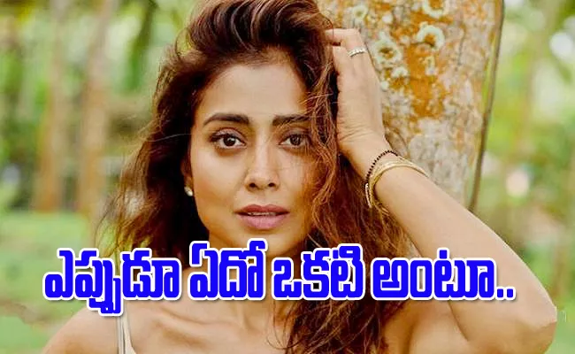 Actress Shriya Saran Says She has Been Judged as Frivolous for Being an Actor - Sakshi