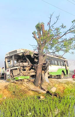 చెట్టును ఢీకొన్న ఆర్టీసీ బస్సు  - Sakshi