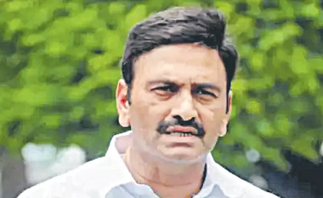 Telangana High Court comments strongly on MP Raghurama - Sakshi