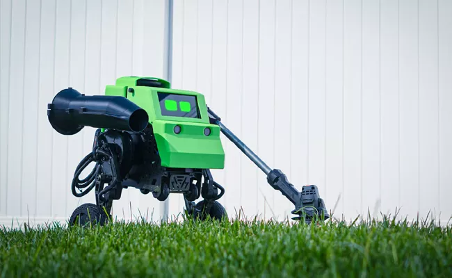 AI Electric Sheep For Garden Maintenance Robot - Sakshi