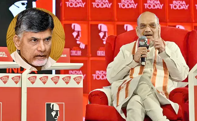 amit shah comments on chandrababu naidu - Sakshi