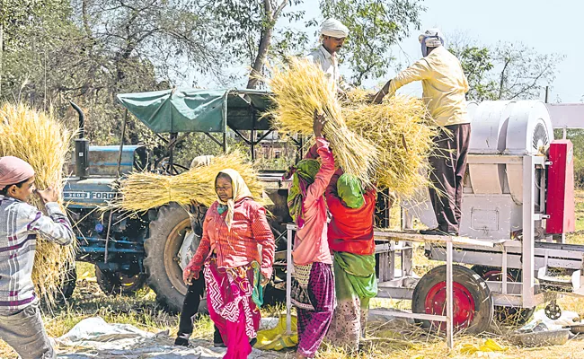 There are several errors in determining the cost of production of crops - Sakshi