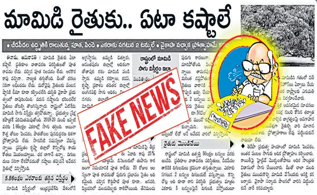 Eenadu Fake News On AP Govt On Mango Farmers Issues - Sakshi