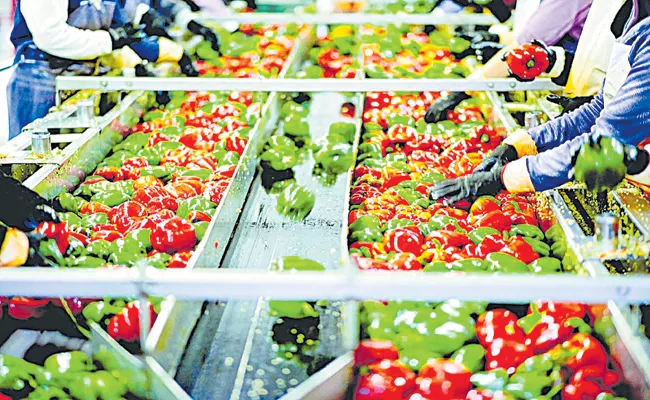 GIS boost to food processing in Andhra Pradesh - Sakshi