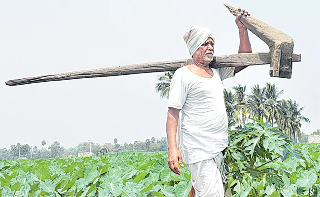 Large scale loans are granted to farmers in cm jagan rule - Sakshi