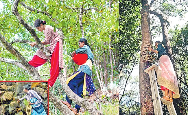 All-female force conserve Western Ghats - Sakshi