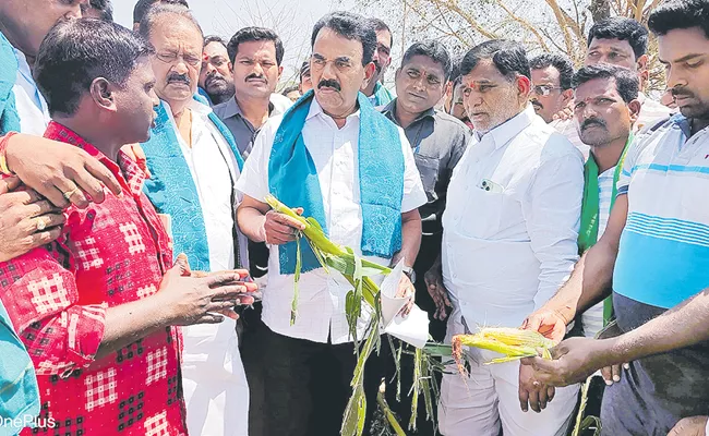 Crop insurance from next Kharif - Sakshi