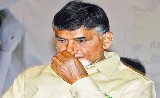 Chandrababu Naidu cheated people with false promises - Sakshi