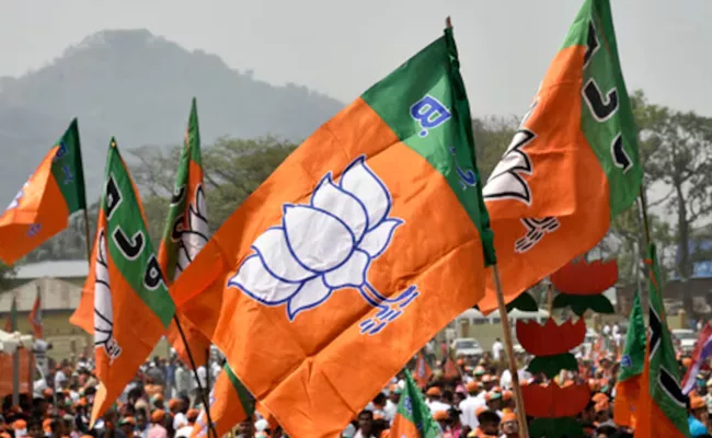 BJP Election Manifesto Committee List For Lok Sabha Elections 2024 - Sakshi