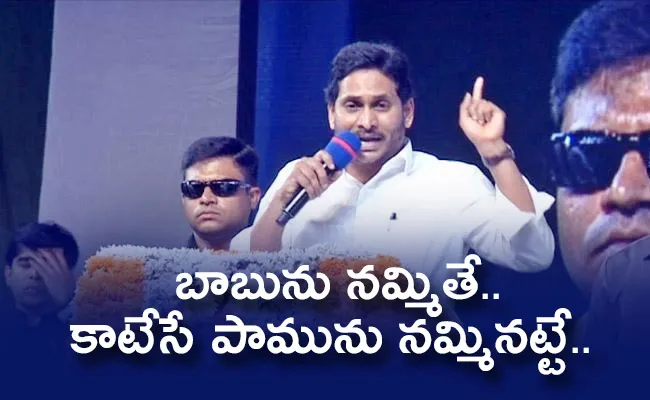 Anakapalli Public Meeting: CM Jagan Comments On Chandrababu - Sakshi