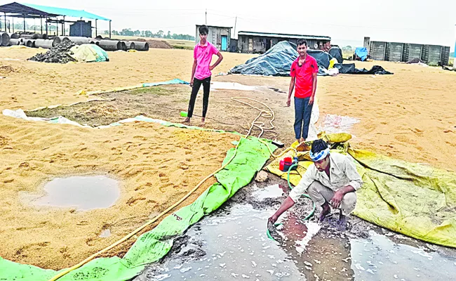 The dried grain on the roads got wet - Sakshi