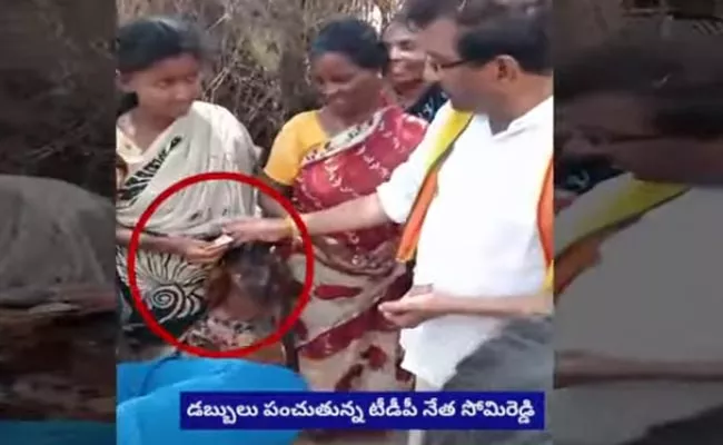 tdp leader somireddy money distributed voters in sarvepalli - Sakshi