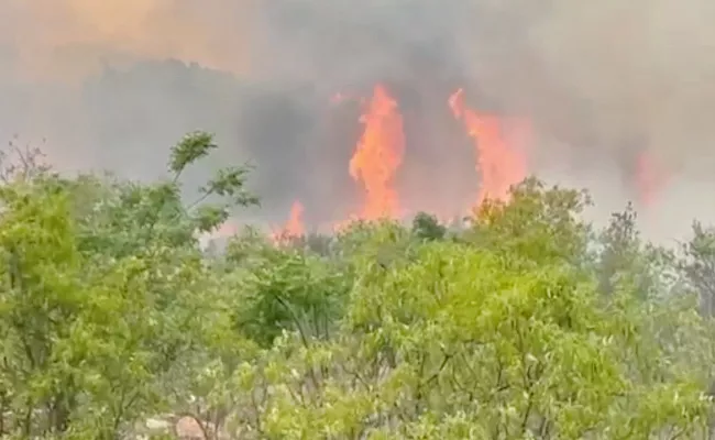 Fire Accident In Tirumala - Sakshi