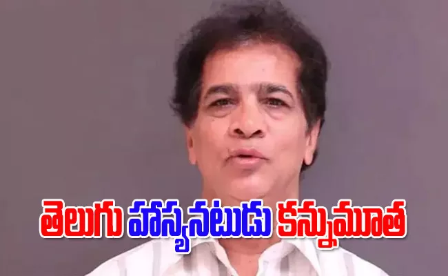 Telugu Comedy Actor Visweswara Rao Passed Away - Sakshi