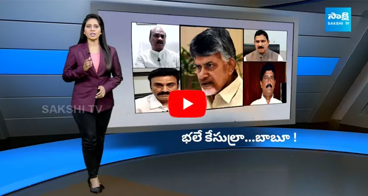 Criminal Cases On TDP Leaders