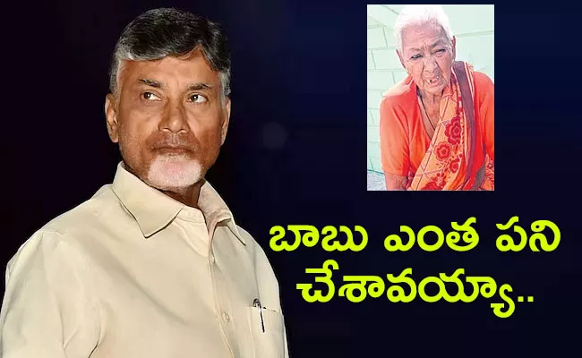 Pensioners Fires On Chandrababu Over AP Volunteers - Sakshi